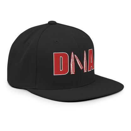 DNA "PRO 2ND AMENDMENT" HAT (BLACK)